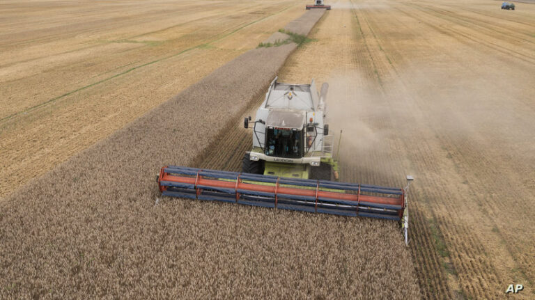Russia Ukraine War Grain Deal Explainer