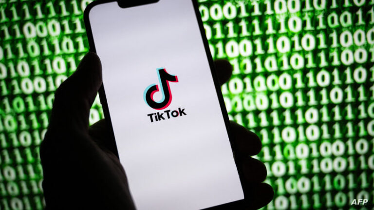 FILES-FRANCE-EU-TECH-REGULATION-TIK TOK