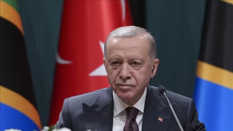 أردوغان يجب ألا نتيح الفرصة لإسرائيل إخفاء همجيتها بغزة
