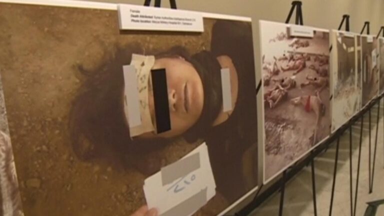 مقتل 29 مدنياً تحت التعذيب في سجون الأسد منذ قرار محكمة العدل الدولية قبل 6 أشهر
