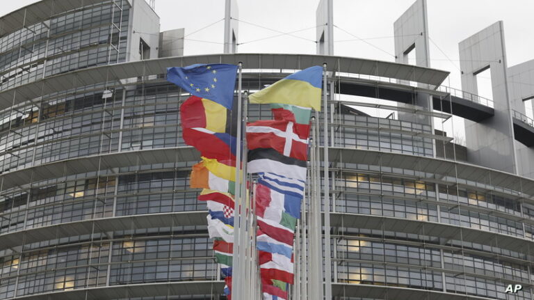 European Elections Explainer