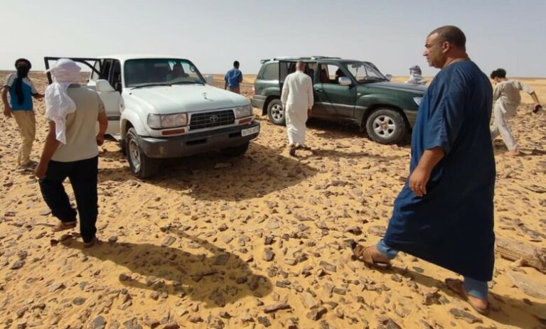 وفاة 12 مهاجراً سورياً عطشاً في صحراء الجزائر
