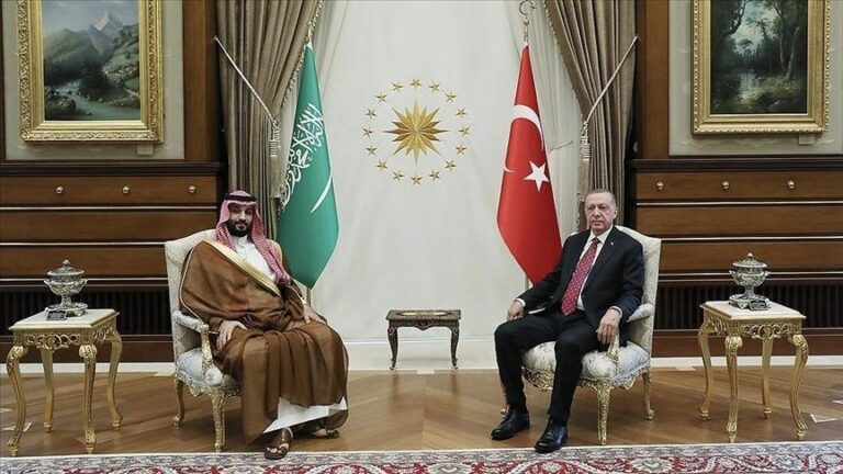 أردوغان وبن سلمان يبحثان المجازر الإسرائيلية في فلسطين