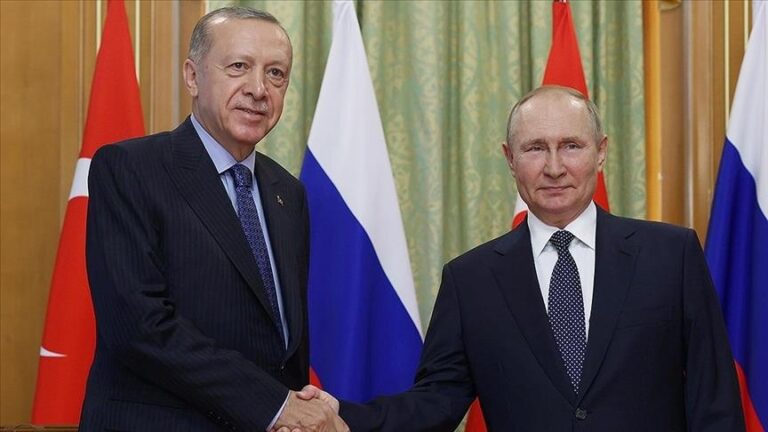 أردوغان وبوتين يبحثان العلاقات الثنائية وقضايا إقليمية ودولية