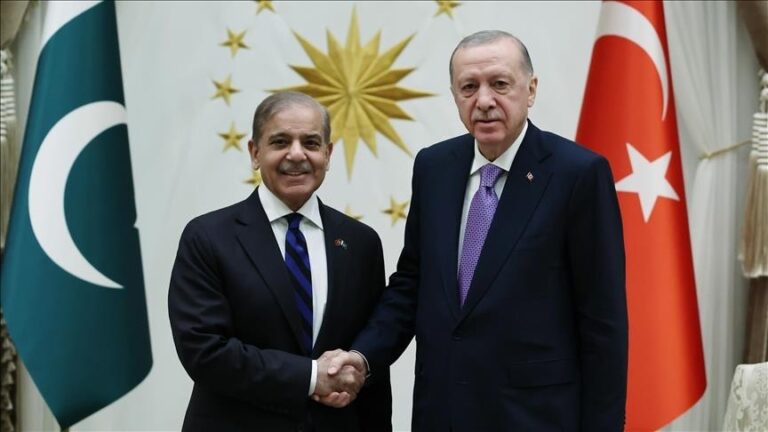 أردوغان مستعدون لبذل ما بوسعنا لمنع التصعيد بين باكستان والهند